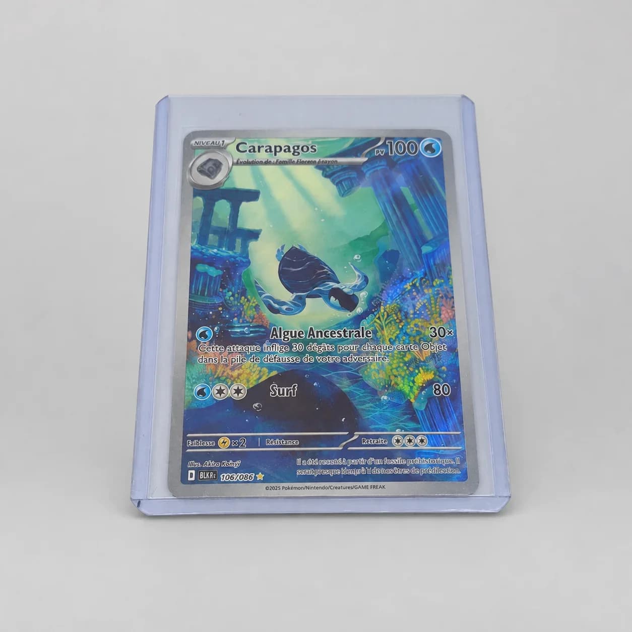 Carte Pokémon Carapagos Illustration Rare 106/086 – Version Française – NM Sous Toploader
