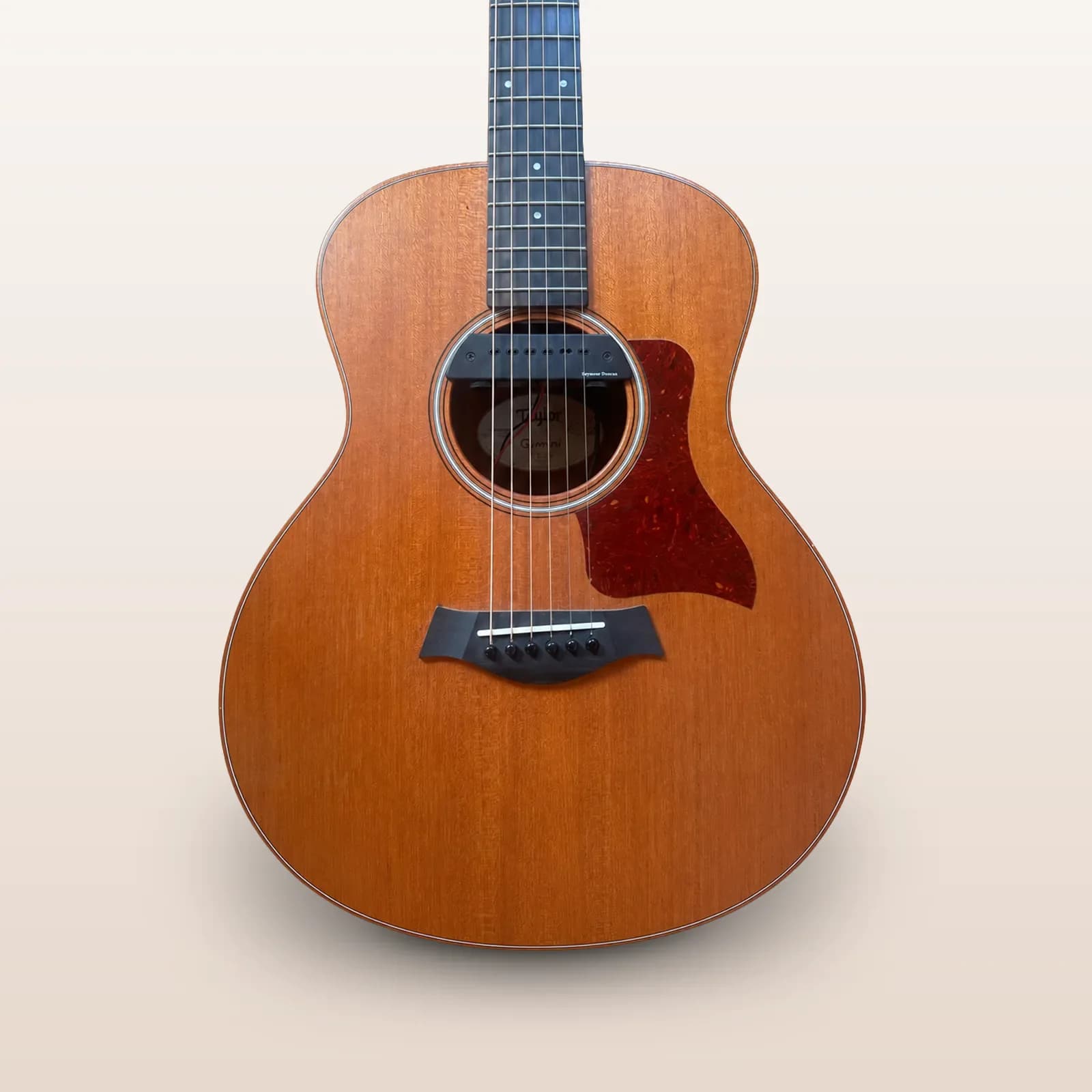 Taylor GS Mini avec micro Seymour Duncan — 2018